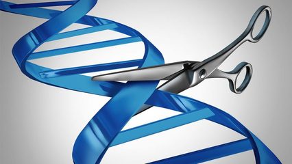 CRISPR和这三家初创生物技术公司,能消灭上万种疾病吗?